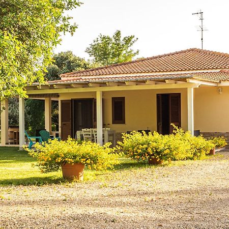 The Vineyards Bed & Breakfast อาลเกโร ภายนอก รูปภาพ
