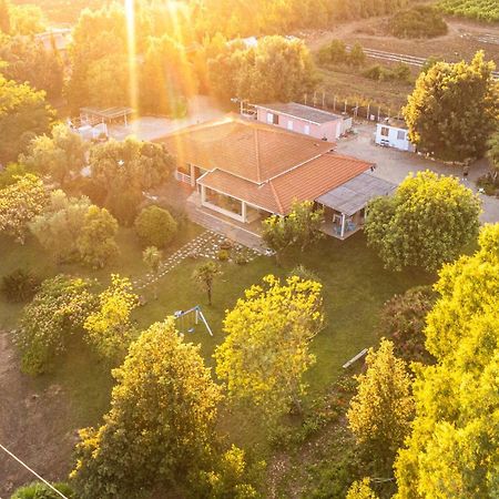 The Vineyards Bed & Breakfast อาลเกโร ภายนอก รูปภาพ