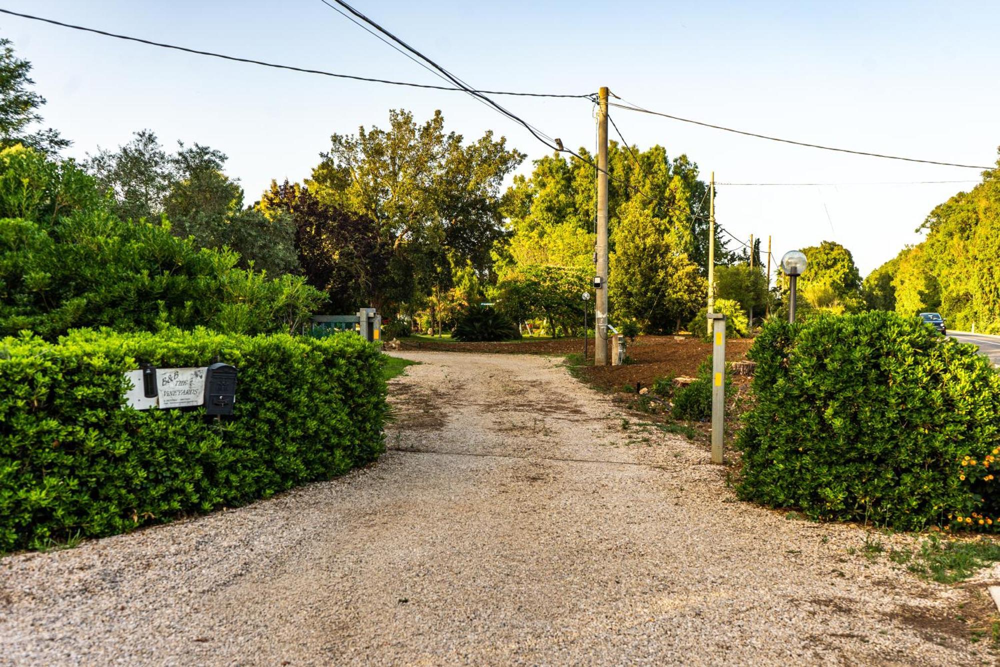 The Vineyards Bed & Breakfast อาลเกโร ภายนอก รูปภาพ